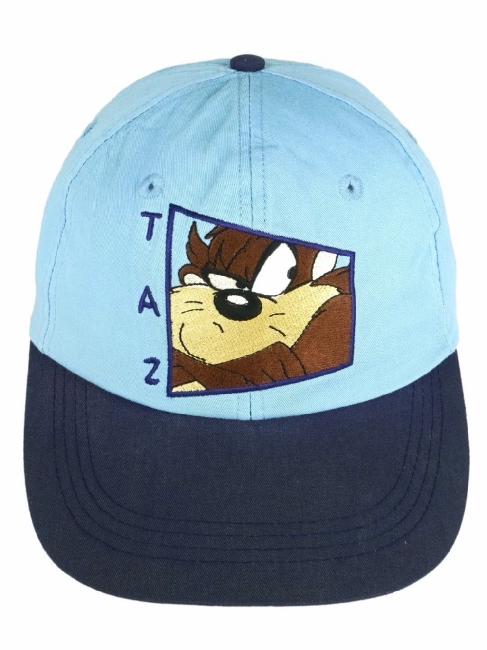 Vintage 1990s Tasmanian devil blue tone baseball cap